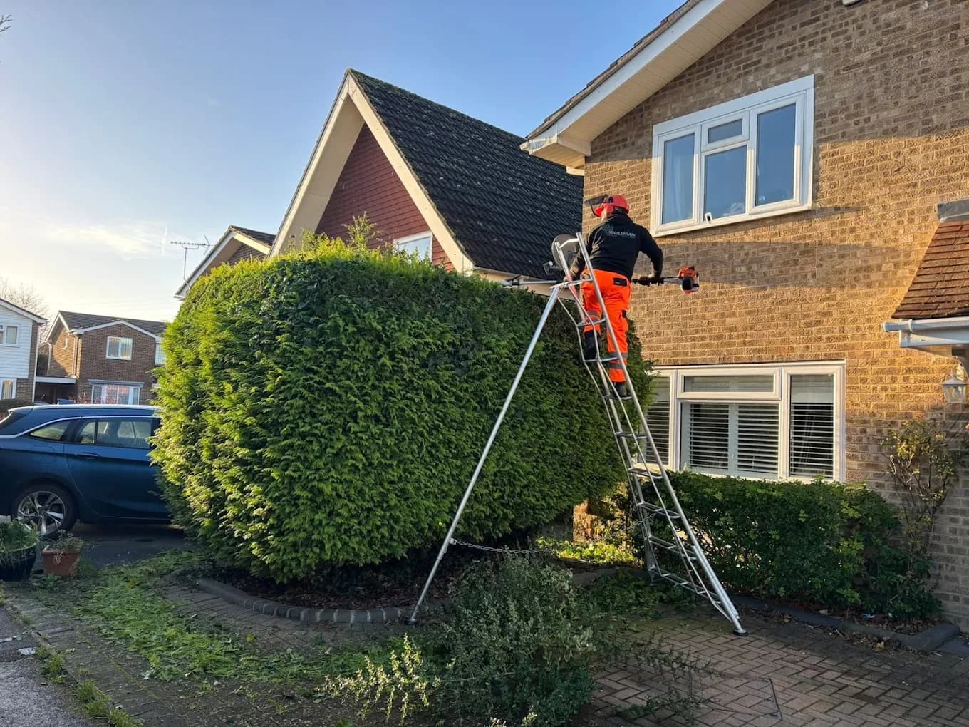 Tree Surgery — image 4